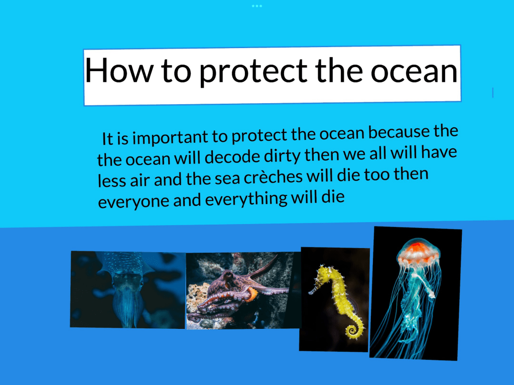 How to protect the ocean – Sonny @ Panmure Bridge School